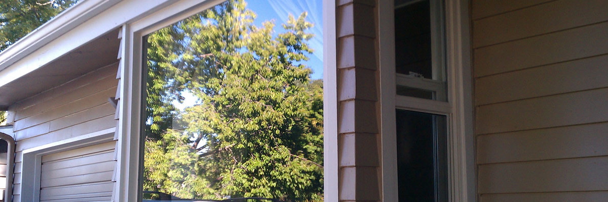 Residential window with tree reflection repaired by A&A Glass Co.